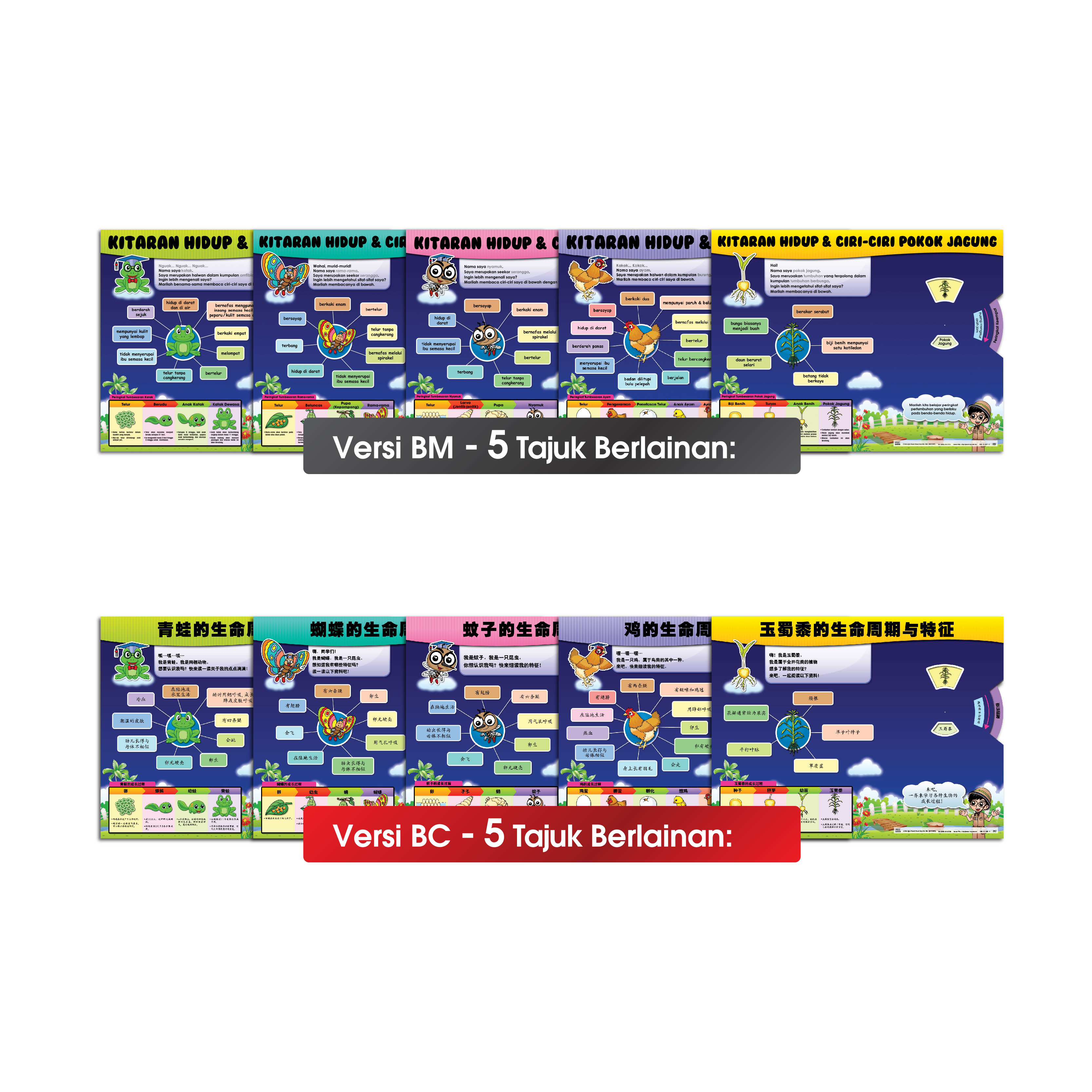 Carta Roda Kitaran Hidup - 生命周期转轮图表 - Image 2