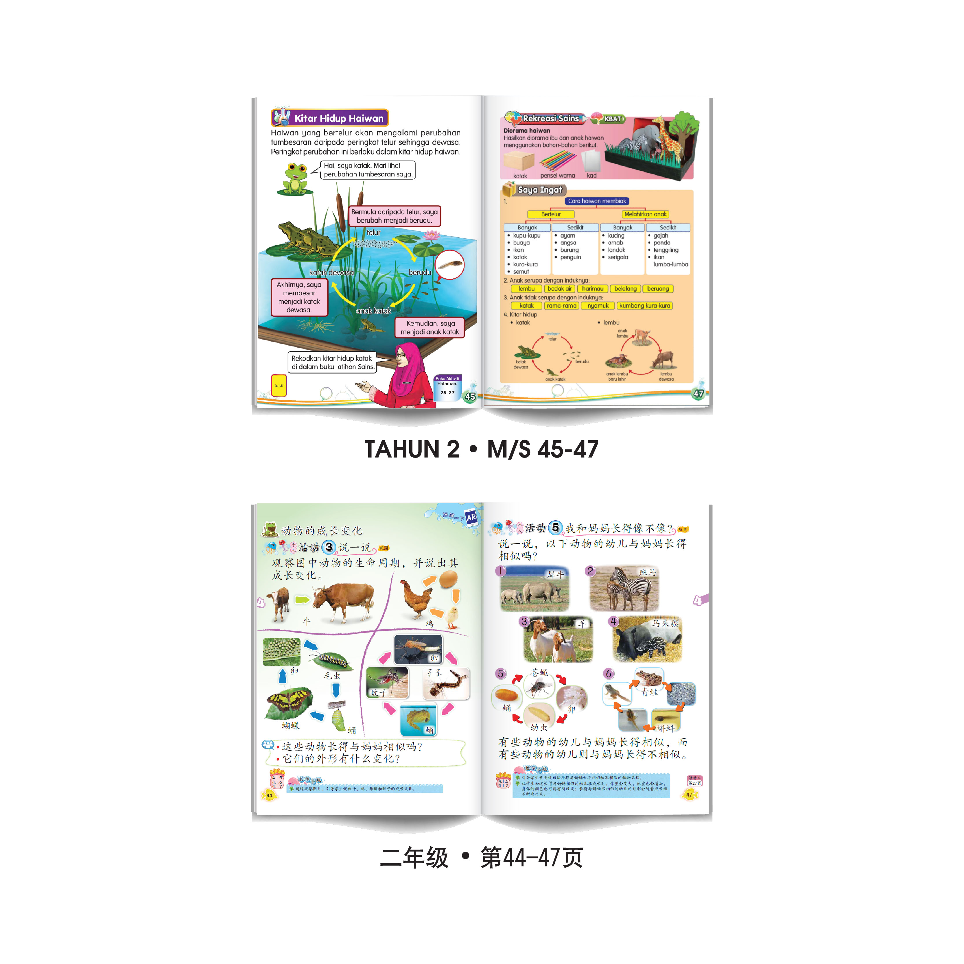 Carta Roda Kitaran Hidup - 生命周期转轮图表 - Image 3