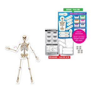 Model Rangka Manusia DIY - DIY 人体骨骼模型