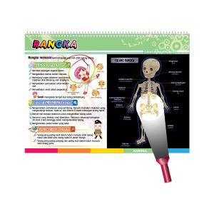 Carta Selak KENALI & SAYANGI Badan Kita - TOPIK 1: STRUKTUR BADAN MANUSIA