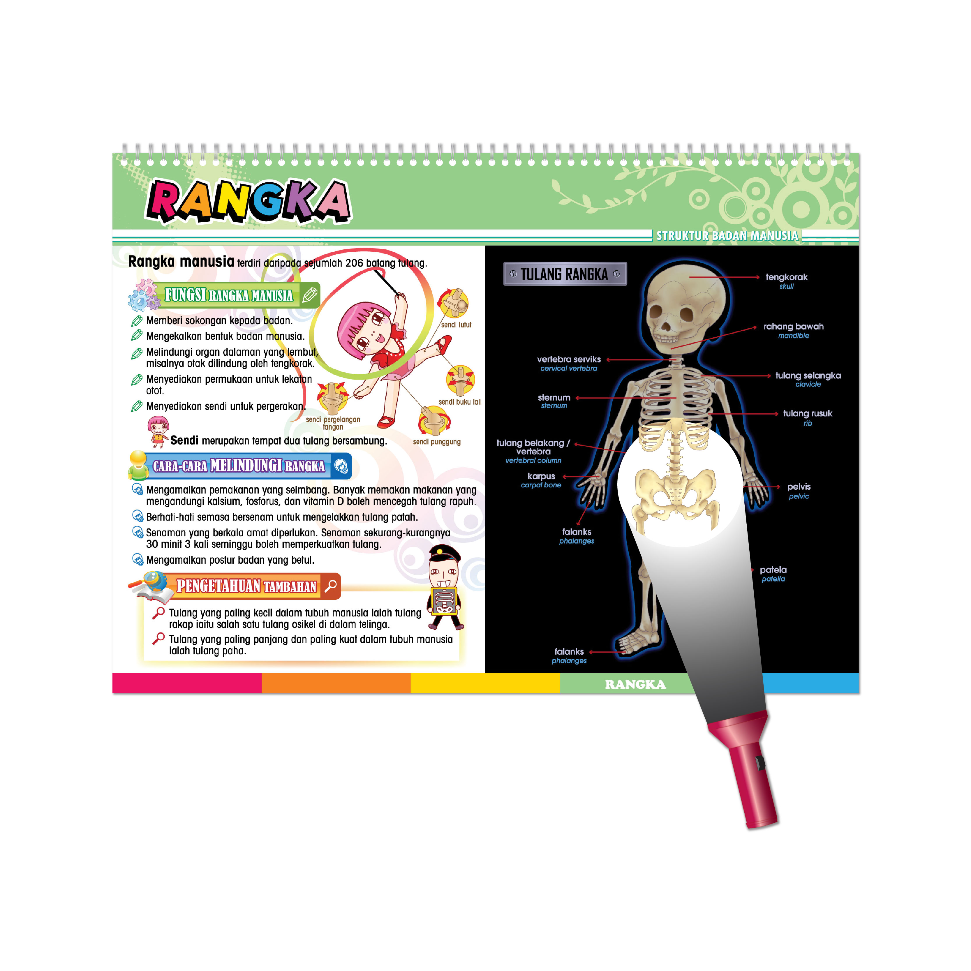 Carta Selak KENALI & SAYANGI Badan Kita - TOPIK 1: STRUKTUR BADAN MANUSIA