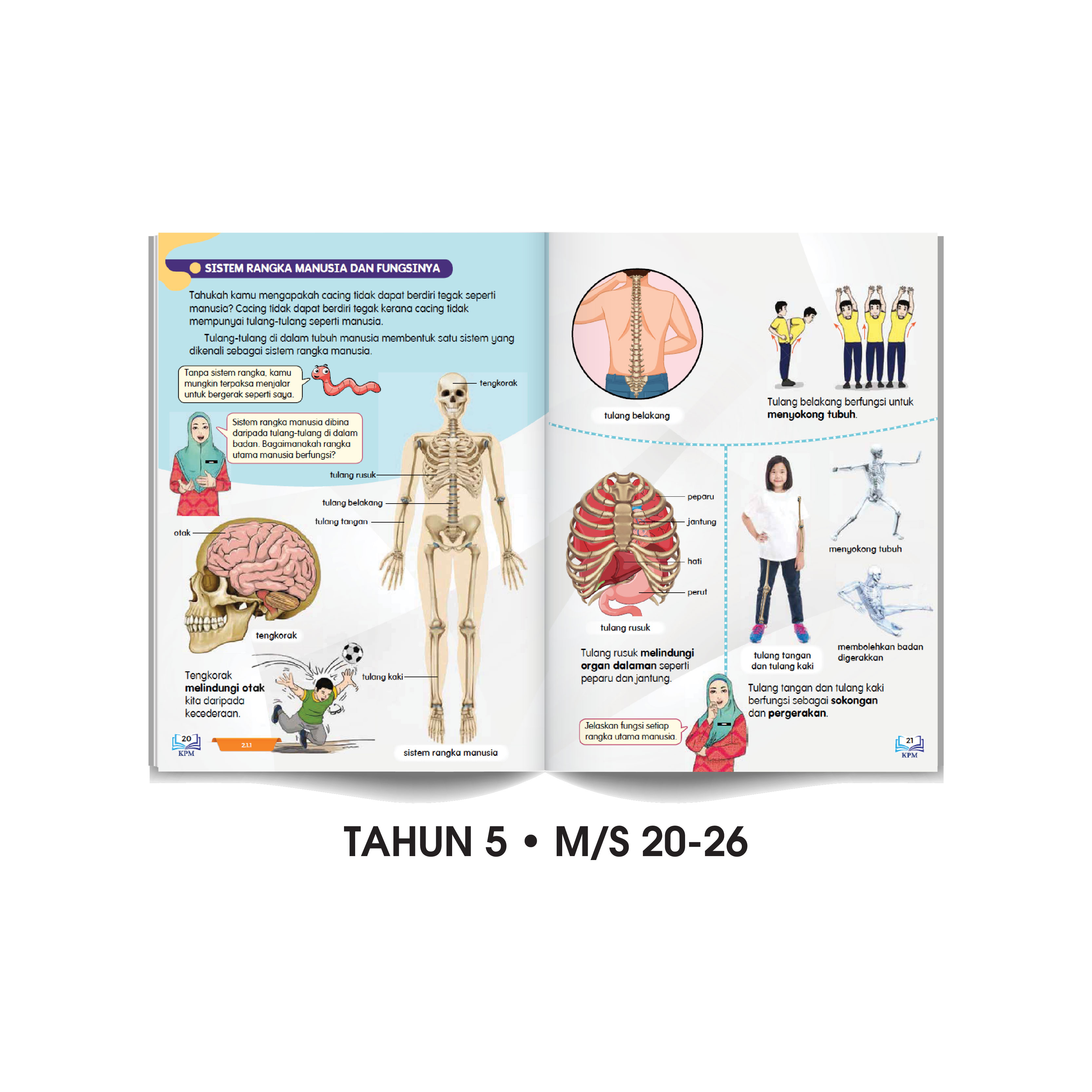Carta Selak KENALI & SAYANGI Badan Kita - TOPIK 1: STRUKTUR BADAN MANUSIA - Image 2