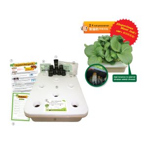 Set Lengkap Penanaman Hidroponik - 水培栽种工具与材料