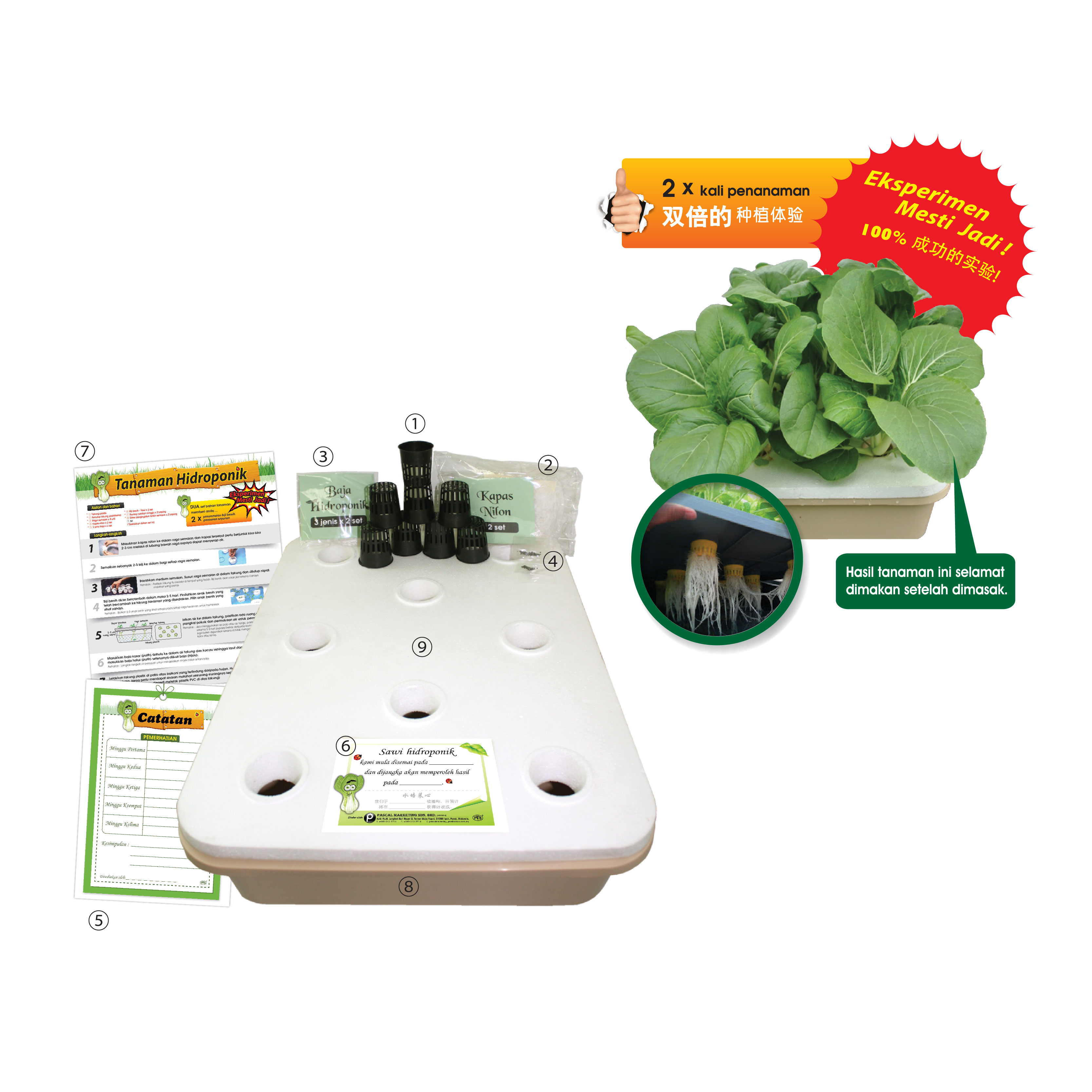 Set Lengkap Penanaman Hidroponik - 水培栽种工具与材料