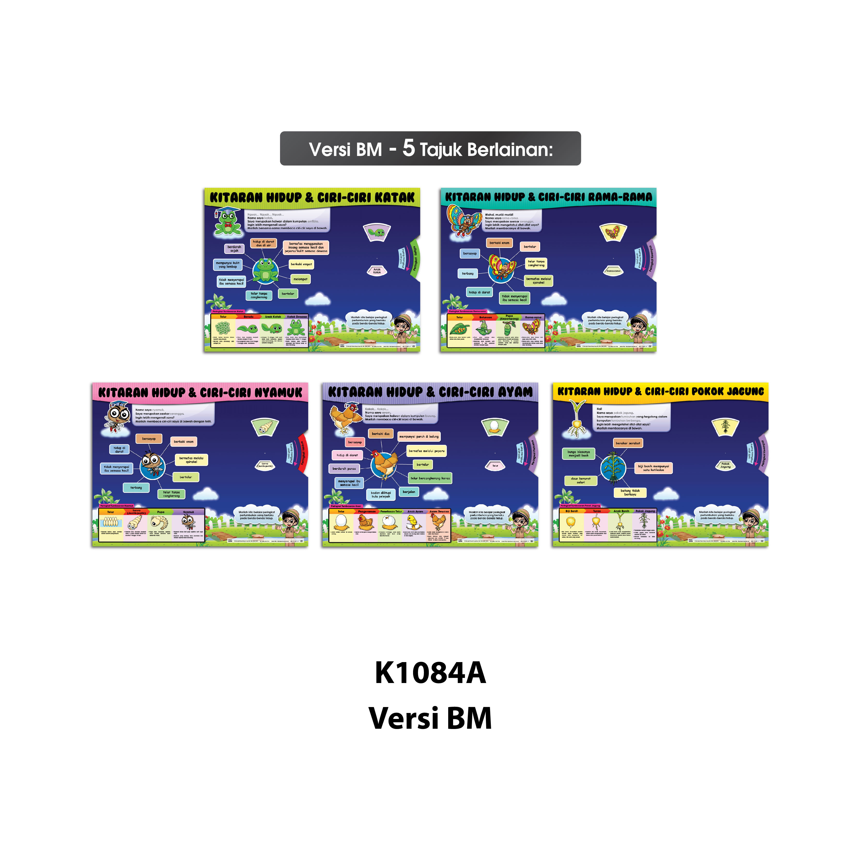 Carta Roda Kitaran Hidup - 生命周期转轮图表 - Image 4