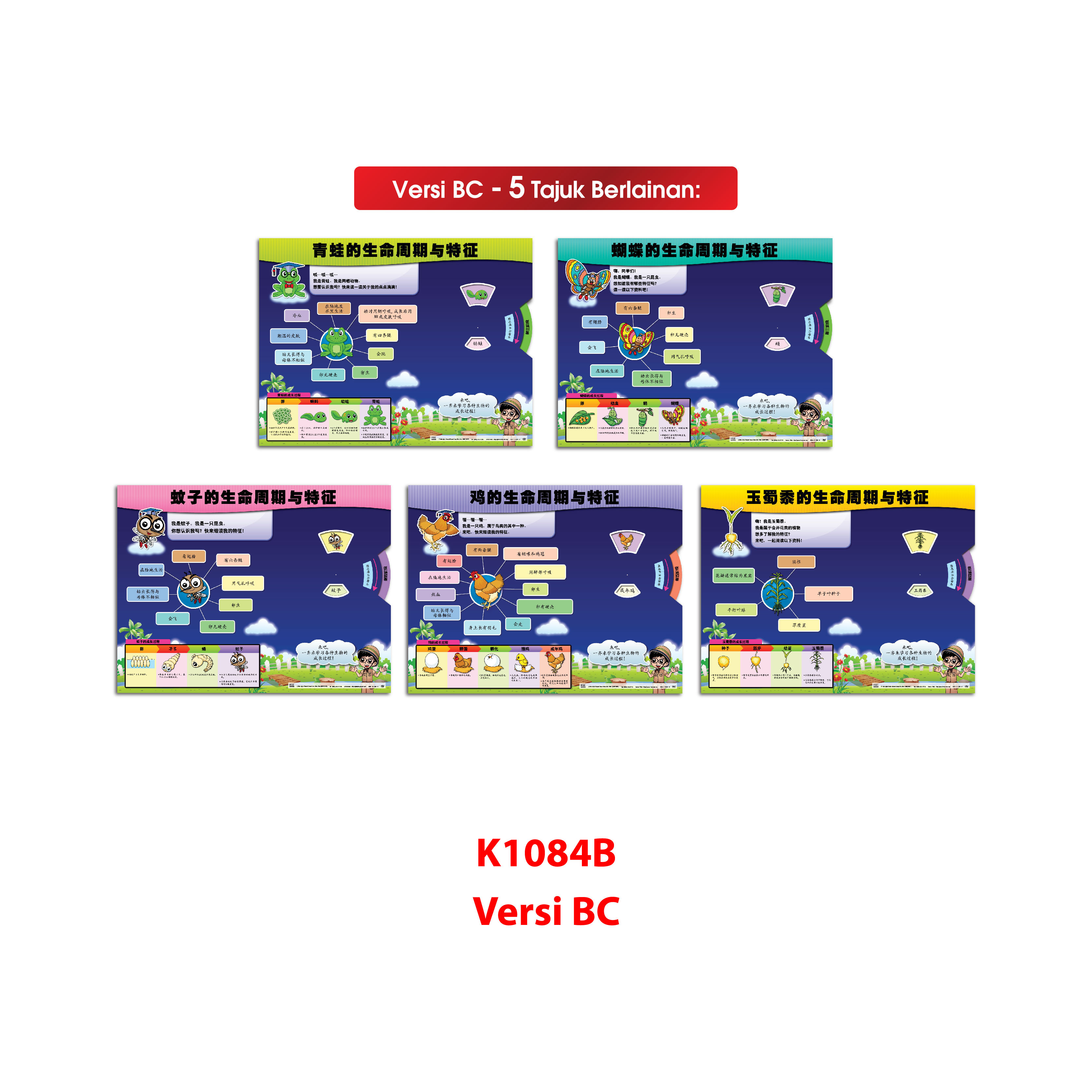 Carta Roda Kitaran Hidup - 生命周期转轮图表 - Image 5