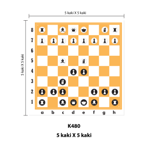 International Chess - 国际象棋