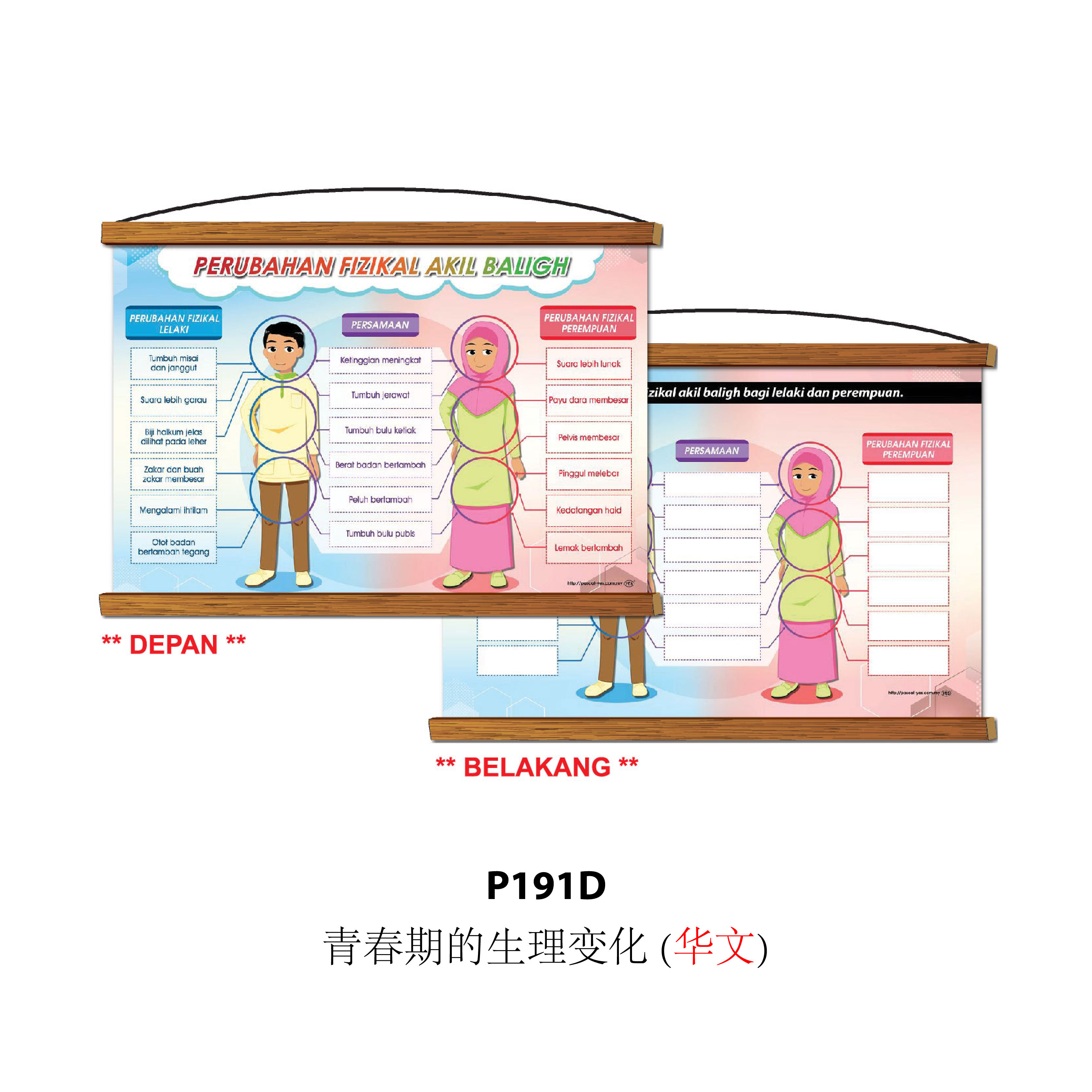 Siri Papan Putih Gulung Lestari Ilmu - 可卷式教学白板系列 - Image 10
