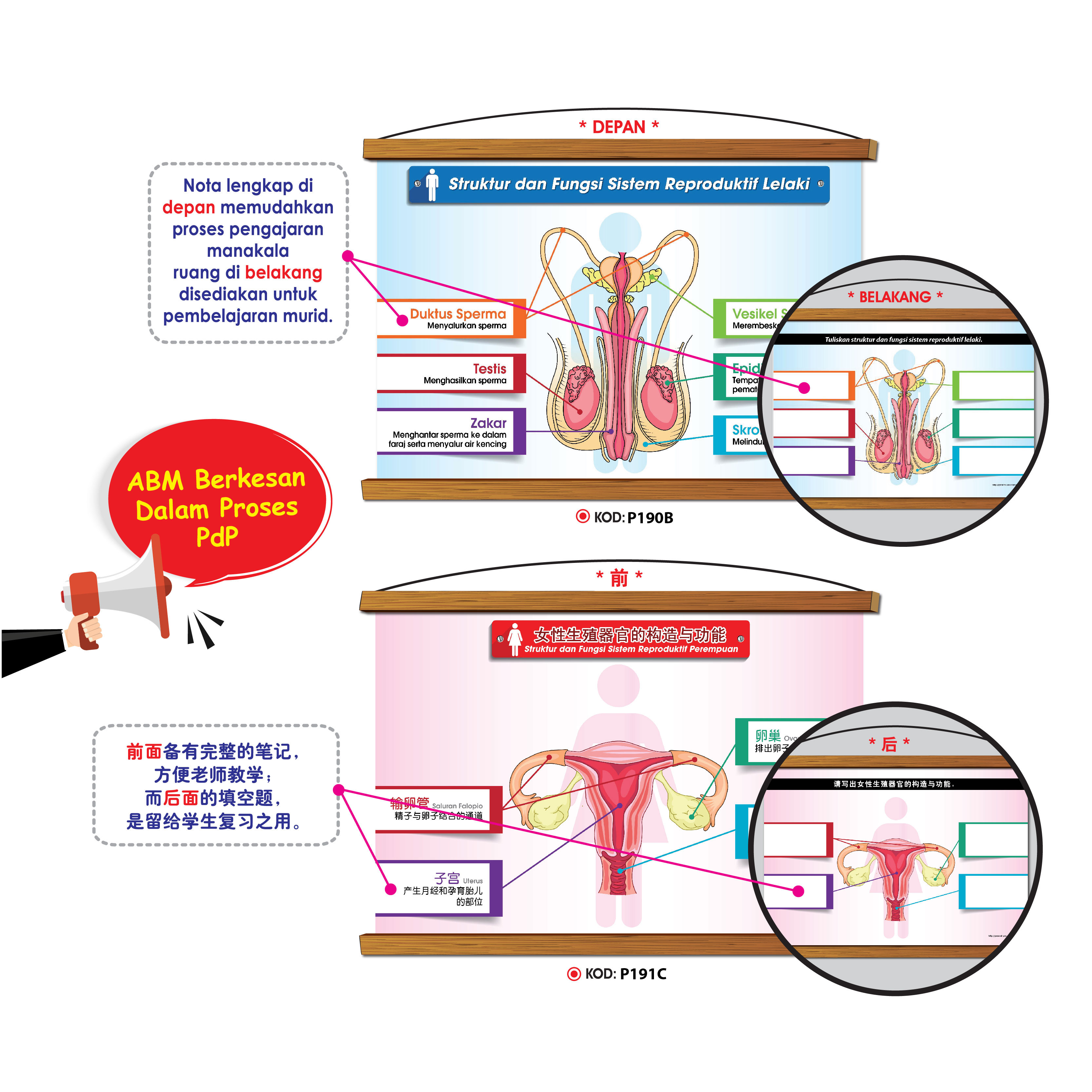 Siri Papan Putih Gulung Lestari Ilmu - 可卷式教学白板系列